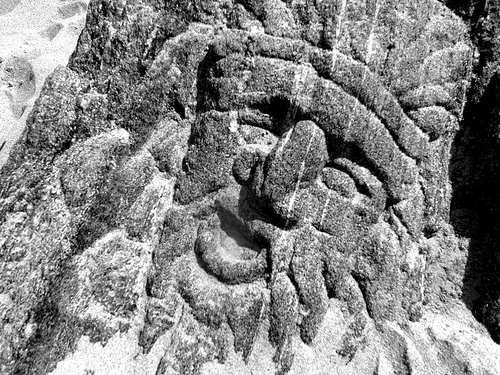One of the faces carved into rocks on Coney Island's Beach. September 25, 2010.  Photo © Bruce Handy/Pablo 57 via flickr