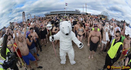 Coney Island Polar Bear Plunge
