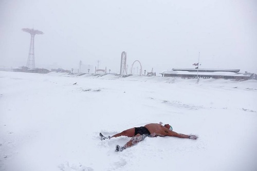 Coney Island Polar Bear in the snow